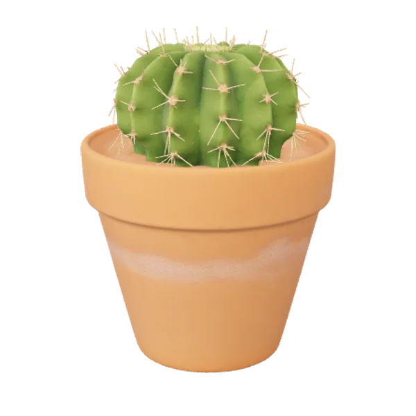 Cactus 3D model preview